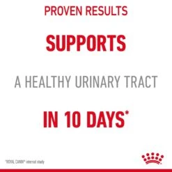 Royal Canin Urinary Care Adult Dry Cat Food -Pet Supply Store l5v0rjkiilz