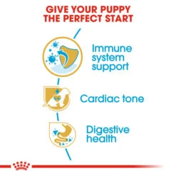 Royal Canin Dry Dog Food Specifically For Puppy Cavalier King Charles 1.5kg 15 Royal Canin Dry Dog Food Specifically For Puppy Cavalier King Charles 1.5kg -Pet Supply Store lazsteuxbyx