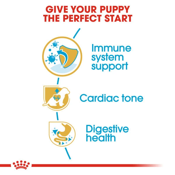 Royal Canin Dry Dog Food Specifically For Puppy Cavalier King Charles 1.5kg 7 Royal Canin Dry Dog Food Specifically For Puppy Cavalier King Charles 1.5kg - Image 7