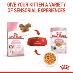 Royal Canin Kitten In Jelly Wet Food For Kitten's 12 X 85g -Pet Supply Store ljica1lpp23