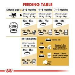 Royal Canin Persian Kitten Dry Food For Cats 4kg 11 Royal Canin Persian Kitten Dry Food For Cats 4kg -Pet Supply Store lqukb4db2bx