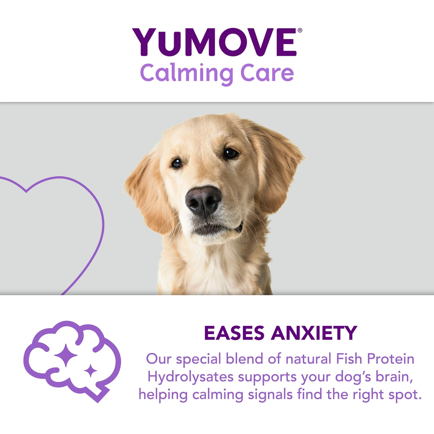 YuMOVE Calming Care For Adult Dogs- Various Sizes 10 YuMOVE Calming Care For Adult Dogs- Various Sizes - Image 10