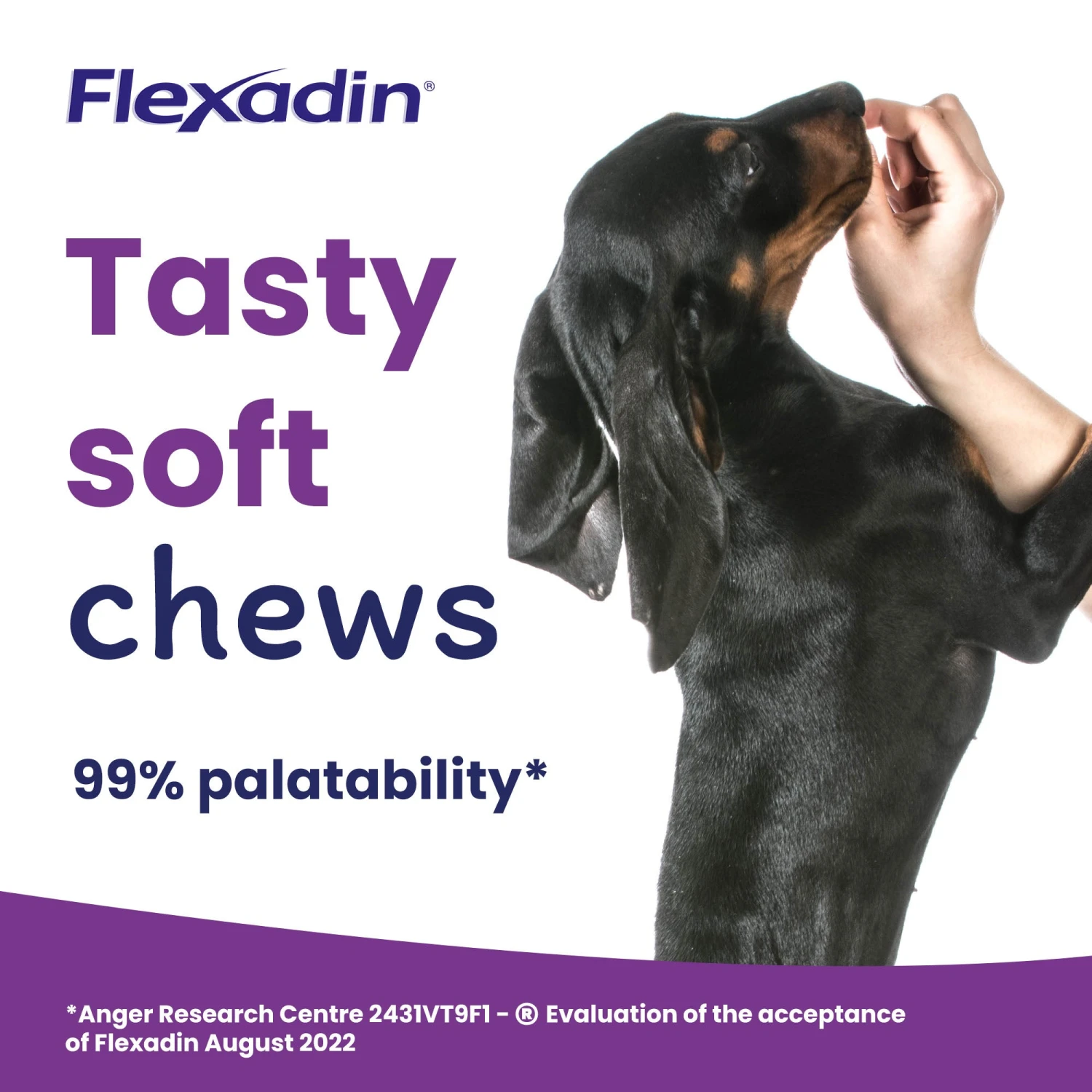 Vetoquinol Flexadin UC-II Joint Care For Dogs 4 Vetoquinol Flexadin UC-II Joint Care For Dogs - Image 4