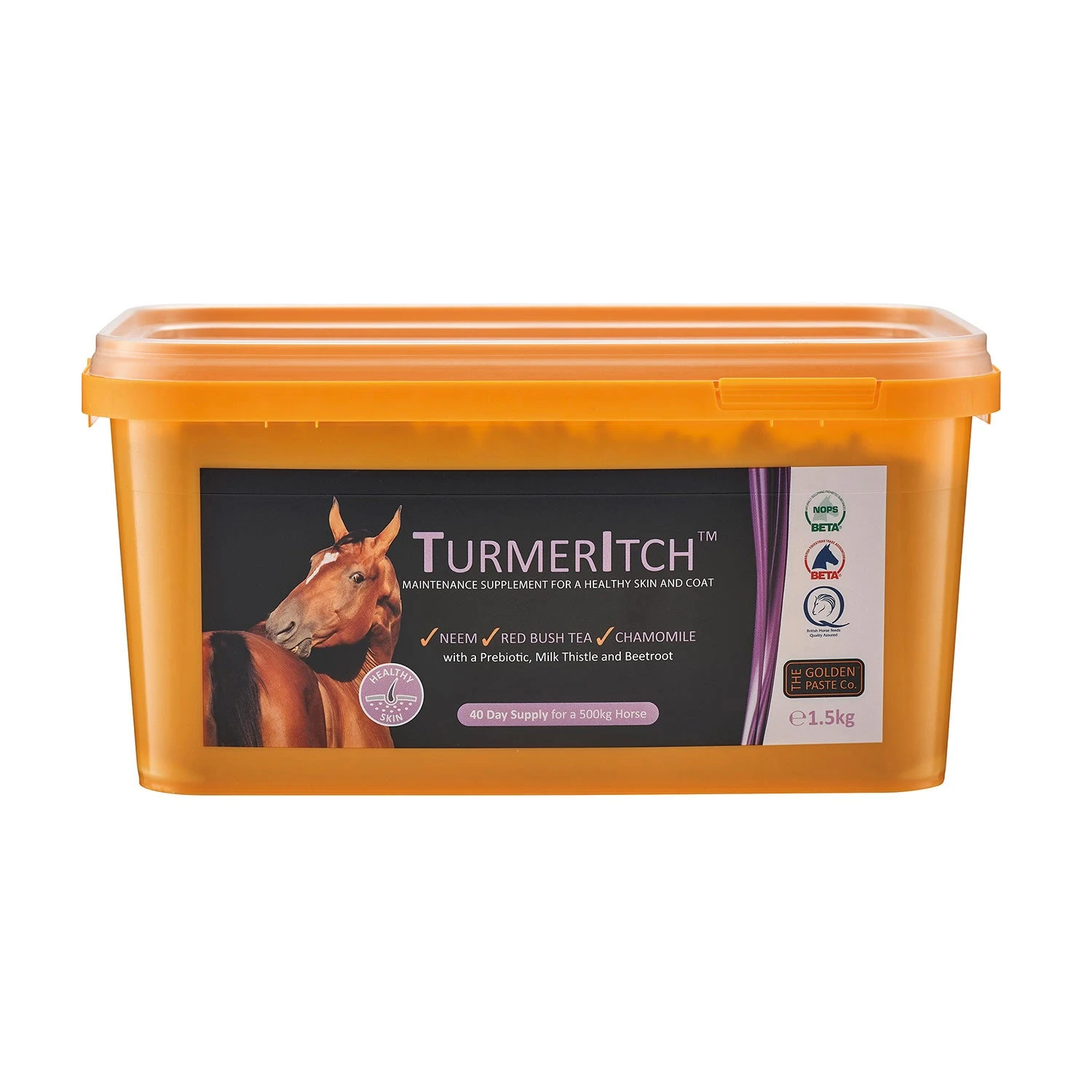Golden Paste Company Turmeritch 1.5kg 1 Golden Paste Company Turmeritch 1.5kg