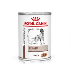 Royal Canin Veterinary Health Nutrition Canine Hepatic Dog Food 420g X 12