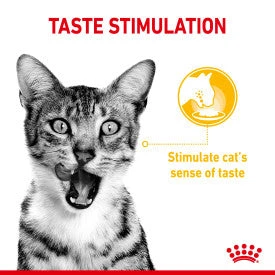 Royal Canin Wet Cat Food Pouches Sensory Designed Food 12 X 85g 12 Royal Canin Wet Cat Food Pouches Sensory Designed Food 12 X 85g - Image 12