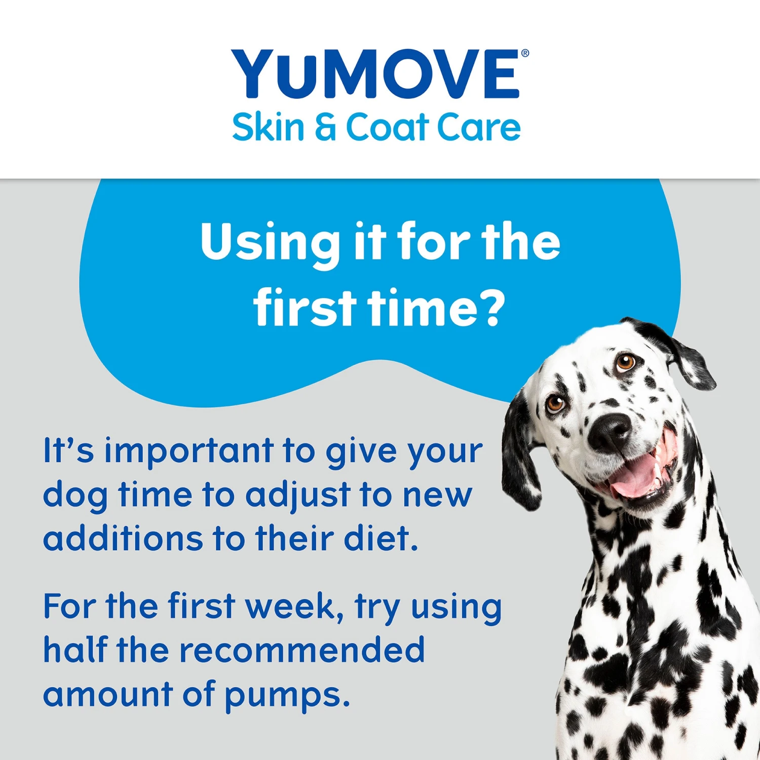 YuMOVE Skin & Coat Care Moulting For Adult Dogs | 500ml 10 YuMOVE Skin & Coat Care Moulting For Adult Dogs | 500ml - Image 10