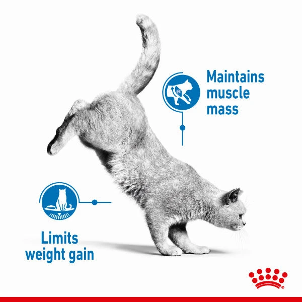 Royal Canin Light Weight Care In Gravy Adult Wet Cat Food For Cats 48 X 85g 3 Royal Canin Light Weight Care In Gravy Adult Wet Cat Food For Cats 48 X 85g - Image 3