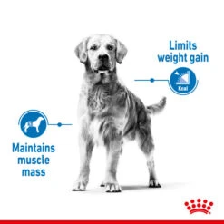 Royal Canin Dry Dog Food For Medium Light Care Adult Dogs - All Sizes -Pet Supply Store nzjgya4bl41