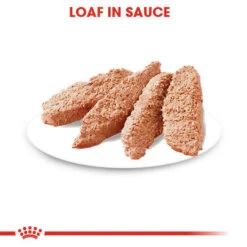 Royal Canin Wet Dog Food For Dermacomfort In Dogs 12x85g -Pet Supply Store o34sedrxrq2