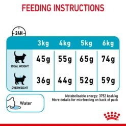 Royal Canin Urinary Care Adult Dry Cat Food -Pet Supply Store oduderofoky
