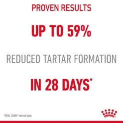 Royal Canin Dental Care Adult Dry Cat Food For Cats- Various Sizes 19 Royal Canin Dental Care Adult Dry Cat Food For Cats- Various Sizes -Pet Supply Store ooo4csnrmfb