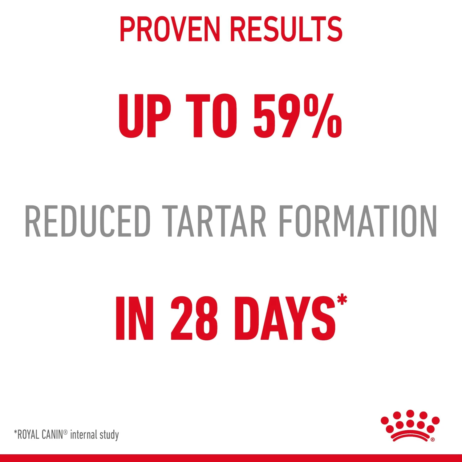 Royal Canin Dental Care Adult Dry Cat Food For Cats- Various Sizes 7 Royal Canin Dental Care Adult Dry Cat Food For Cats- Various Sizes - Image 7