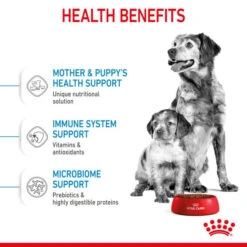 Royal Canin Dry Dog Food For Medium Starter Mother & Babydog - All Sizes -Pet Supply Store op1cuwhjibz