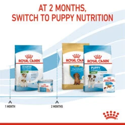 Royal Canin Dry Dog Food For Mini Starter Mother & Babydog - All Sizes -Pet Supply Store otlsaafxu2o