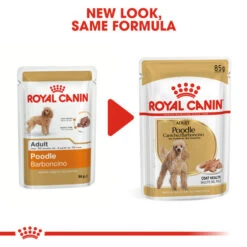 Royal Canin Wet Dog Food Specifically For Poodle Adult 12x85g -Pet Supply Store oxba3z5t4yd
