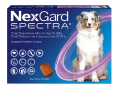 Boehringer Ingelheim Nexgard Spectra Tablets For Dogs 3 Tablets 18 Boehringer Ingelheim Nexgard Spectra Tablets For Dogs 3 Tablets -Pet Supply Store pjp4smvle1a