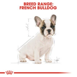 Royal Canin Dry Dog Food Specifically For Puppy French Bulldog - All Sizes -Pet Supply Store pnwklkrd5jw