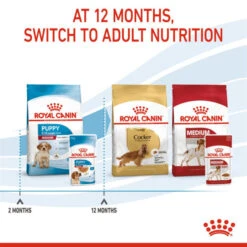 Royal Canin Nutritional Wet Dog Food For Medium Puppy 10x140g -Pet Supply Store q0lfoeukkpd