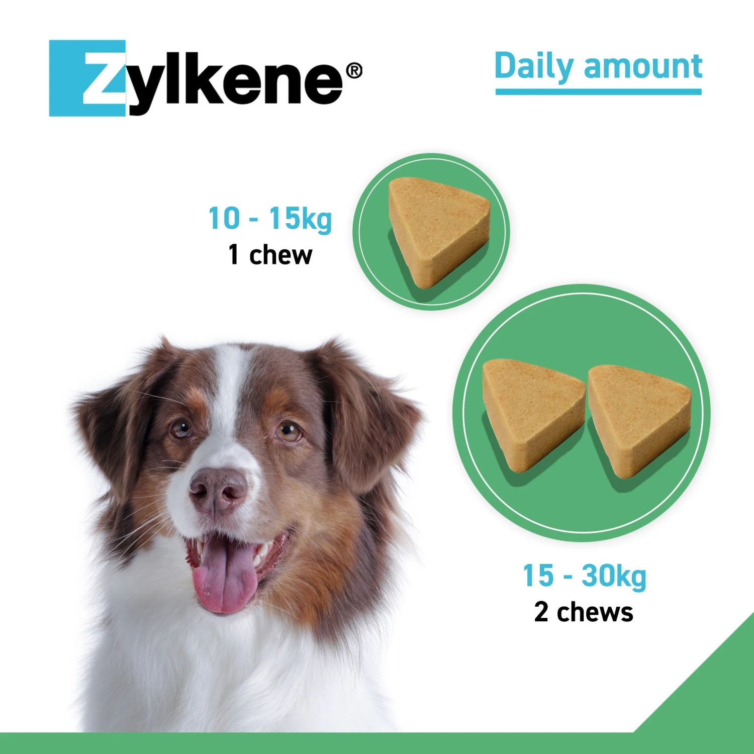 Zylkene Calming Chews For Dogs 4 Zylkene Calming Chews For Dogs - Image 4
