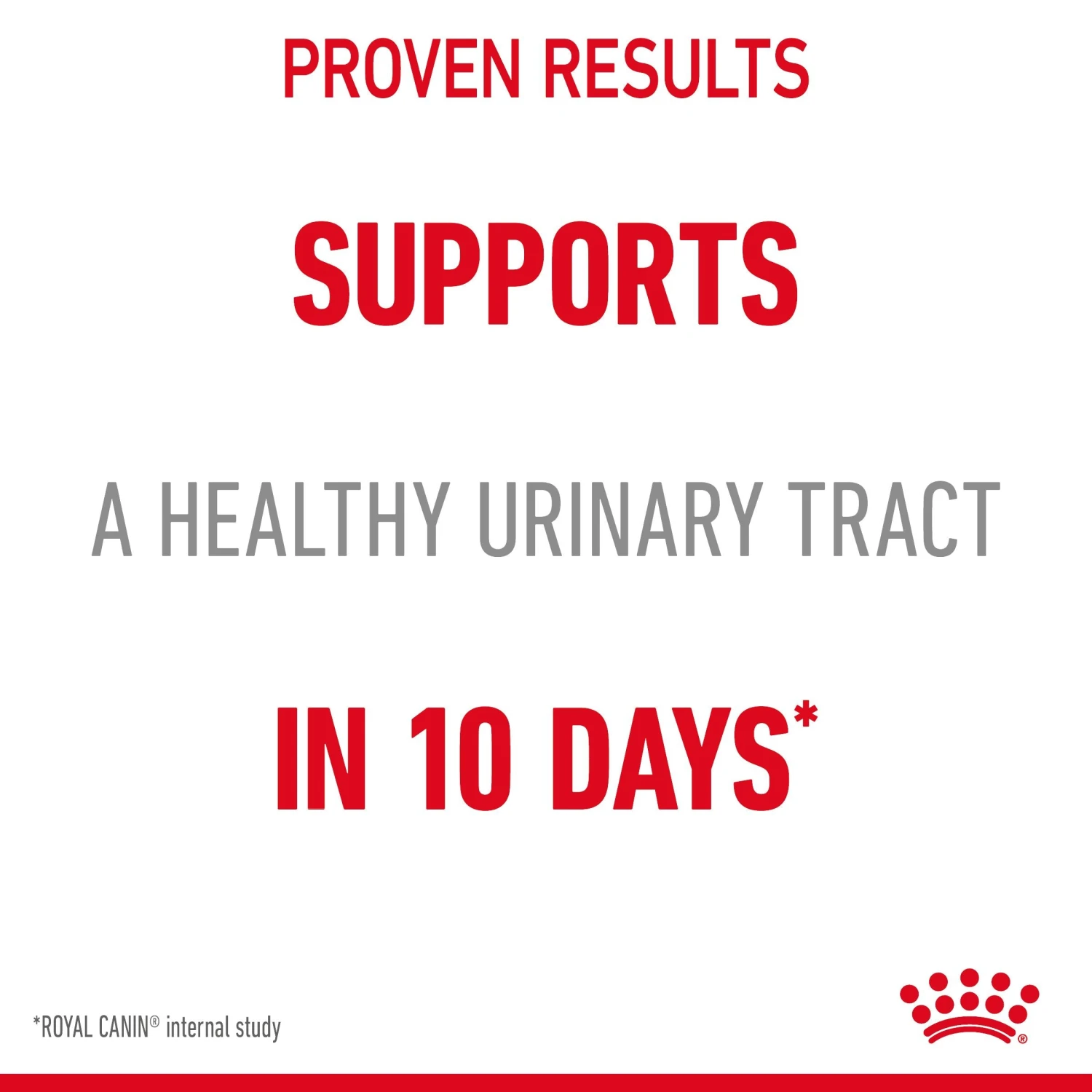 Royal Canin Dry Cat Food For Urinary Care 2kg 2 Royal Canin Dry Cat Food For Urinary Care 2kg - Image 2