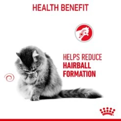 Royal Canin Hairball Care Adult Dry Cat Food For Cats -Pet Supply Store qfdlecodbxa