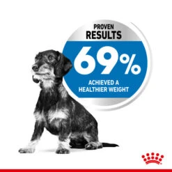 Royal Canin Dry Dog Food CCN Light Weight Care For X-Small Adult Dogs 1.5kg 12 Royal Canin Dry Dog Food CCN Light Weight Care For X-Small Adult Dogs 1.5kg -Pet Supply Store qlrc5dmrcbl