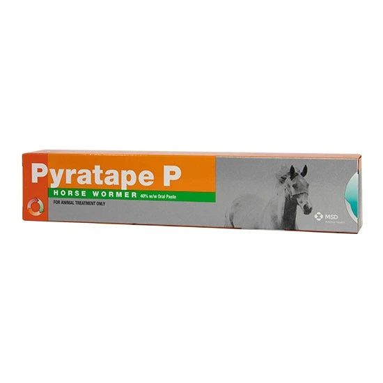 Pyratape P Syringe For Horses 1 Pyratape P Syringe For Horses