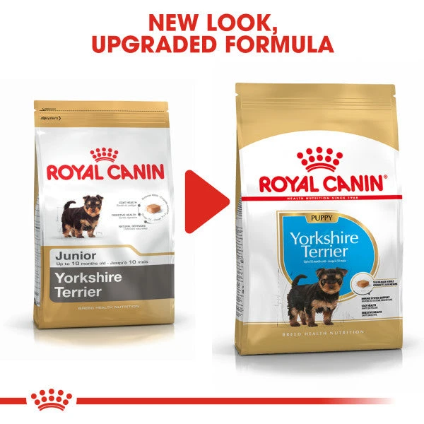 Royal Canin Dry Dog Food Specifically For Puppy Yorkshire Terrier 1.5kg 3 Royal Canin Dry Dog Food Specifically For Puppy Yorkshire Terrier 1.5kg - Image 3