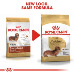 Royal Canin Dry Dog Food Specifically For Adult Dachshund - All Sizes 10 Royal Canin Dry Dog Food Specifically For Adult Dachshund - All Sizes -Pet Supply Store raeu2b3lqou