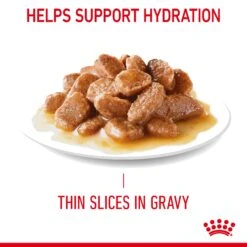 Royal Canin Wet Cat Food Hair & Skin Care In Gravy Pack Of 12 X 85g 15 Royal Canin Wet Cat Food Hair & Skin Care In Gravy Pack Of 12 X 85g -Pet Supply Store rnmptozexy4