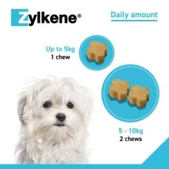 Zylkene Calming Chews For Dogs 14 Zylkene Calming Chews For Dogs -Pet Supply Store rsmxghd3yin
