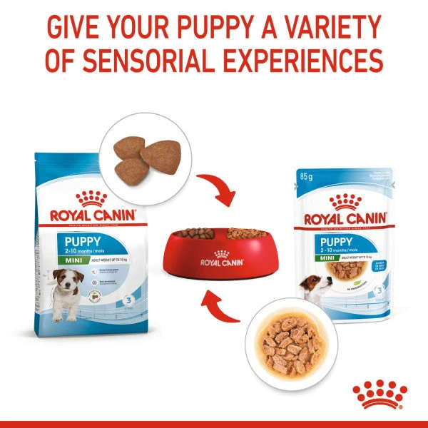 Royal Canin Nutritional Wet Dog Food For Mini Puppy - 12x85g 7 Royal Canin Nutritional Wet Dog Food For Mini Puppy - 12x85g - Image 7