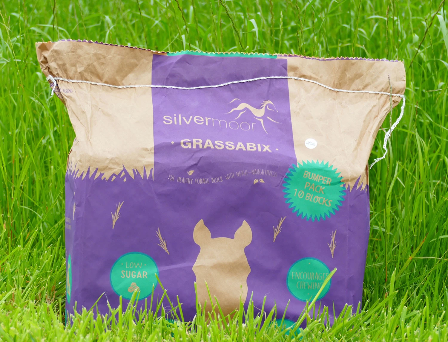 Silvermoor Grassabix Dried Grass Bumper Pack 1kg For Horses 1 Silvermoor Grassabix Dried Grass Bumper Pack 1kg For Horses