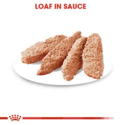 Royal Canin Wet Dog Food For Digestive Care In Adult Dogs 12x85g 12 Royal Canin Wet Dog Food For Digestive Care In Adult Dogs 12x85g -Pet Supply Store tamqgit3do3