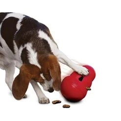 KONG Wobbler - All Sizes -Pet Supply Store tc0zqdwilh3
