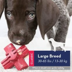 KONG Jump'N Jack 13 KONG Jump'N Jack -Pet Supply Store tdhcq2sgtmz