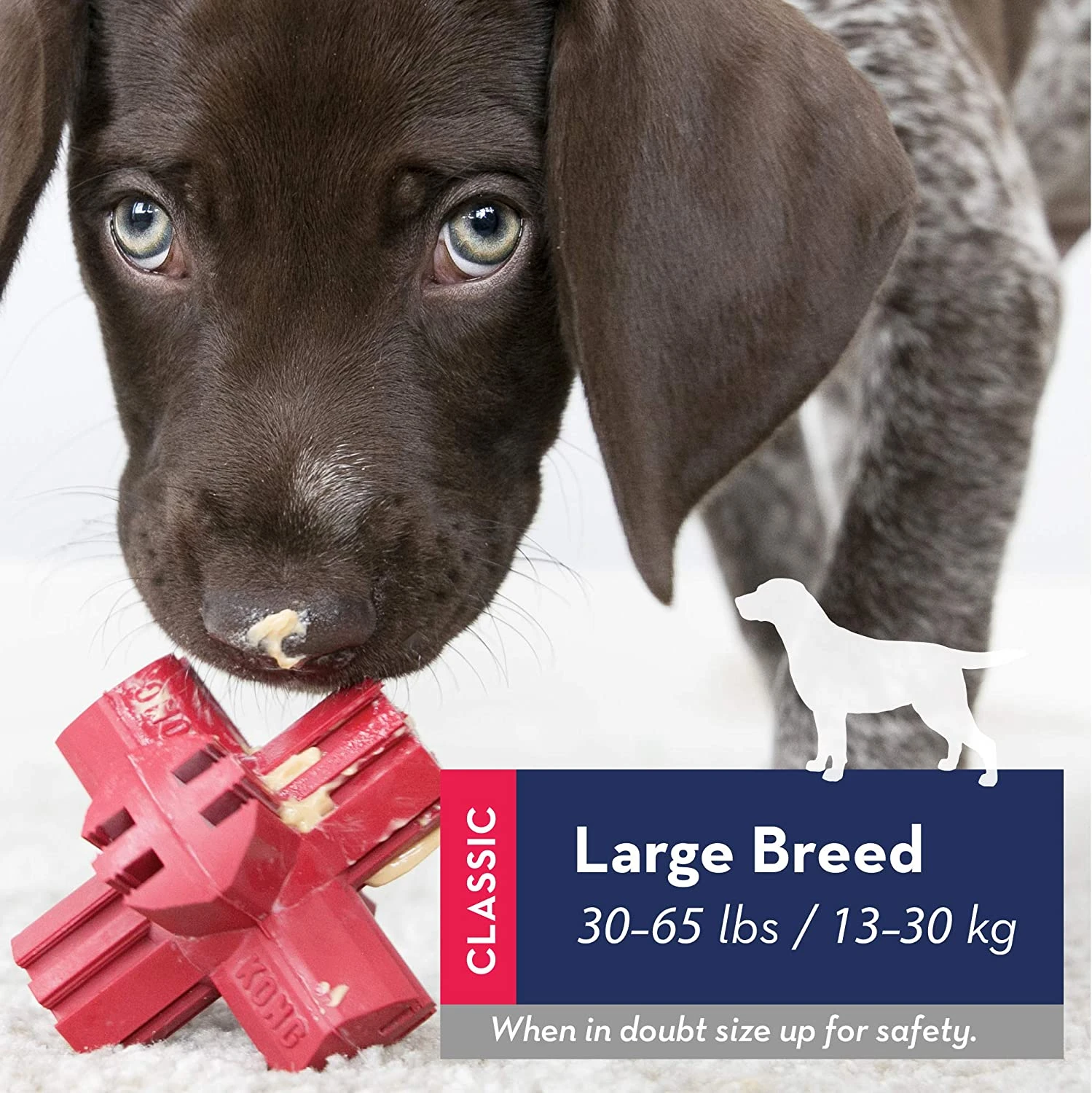 KONG Jump'N Jack 6 KONG Jump'N Jack - Image 6