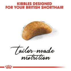 Royal Canin British Shorthair Kitten Dry Food For Cats 10kg -Pet Supply Store tihlwjvthzc