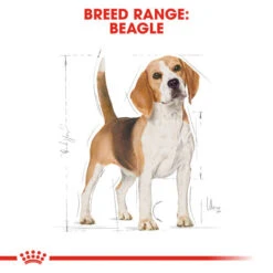 Royal Canin Dry Dog Food Specifically For Adult Beagle - All Sizes 15 Royal Canin Dry Dog Food Specifically For Adult Beagle - All Sizes -Pet Supply Store tx4oikzs0rl