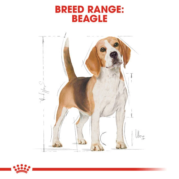 Royal Canin Dry Dog Food Specifically For Adult Beagle - All Sizes 8 Royal Canin Dry Dog Food Specifically For Adult Beagle - All Sizes - Image 8