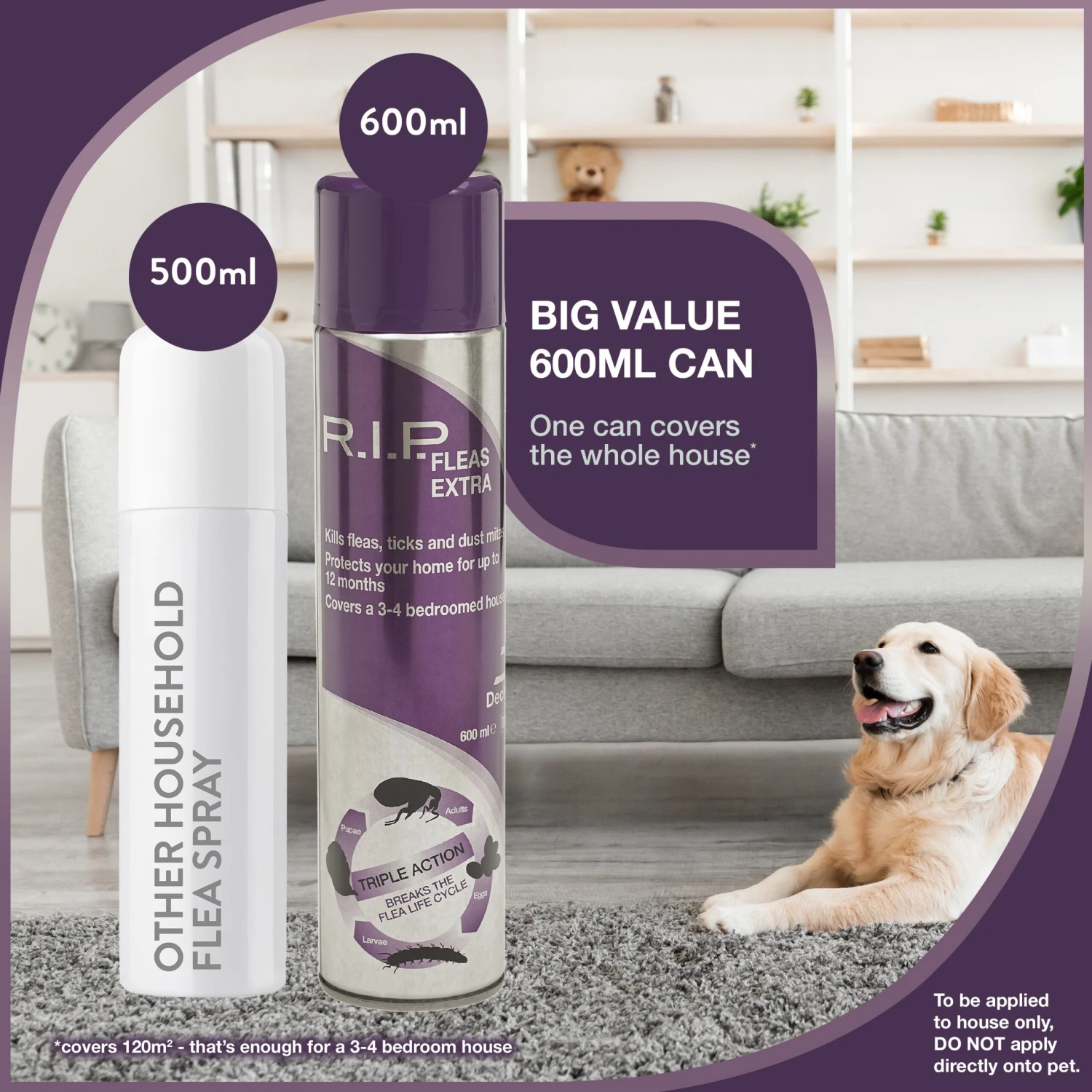 Dechra RIP Fleas Extra, Environmental Household Flea Spray 600ml 3 Dechra RIP Fleas Extra, Environmental Household Flea Spray 600ml - Image 3