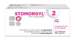Boehringer Ingelheim Stomorgyl Tablets For Cats And Dogs 50s -Pet Supply Store uapxlt2rr3g