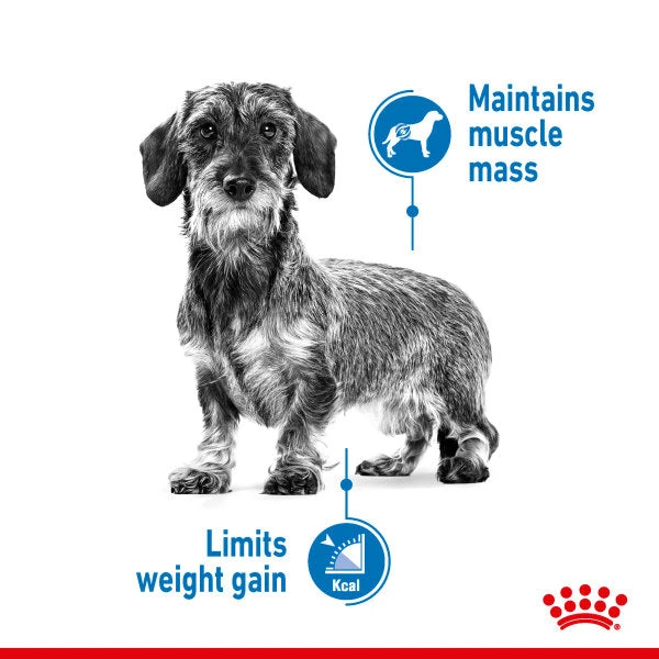 Royal Canin Dry Dog Food CCN Light Weight Care For X-Small Adult Dogs 1.5kg 7 Royal Canin Dry Dog Food CCN Light Weight Care For X-Small Adult Dogs 1.5kg - Image 7