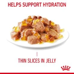 Royal Canin Hair & Skin Care In Jelly Adult Wet Cat Food 12 X 85g 13 Royal Canin Hair & Skin Care In Jelly Adult Wet Cat Food 12 X 85g -Pet Supply Store unvtn4aieoh