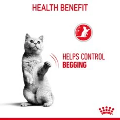Royal Canin Appetite Control Care In Gravy Adult Wet Cat Food 12 X 85g -Pet Supply Store uryemtlznfe