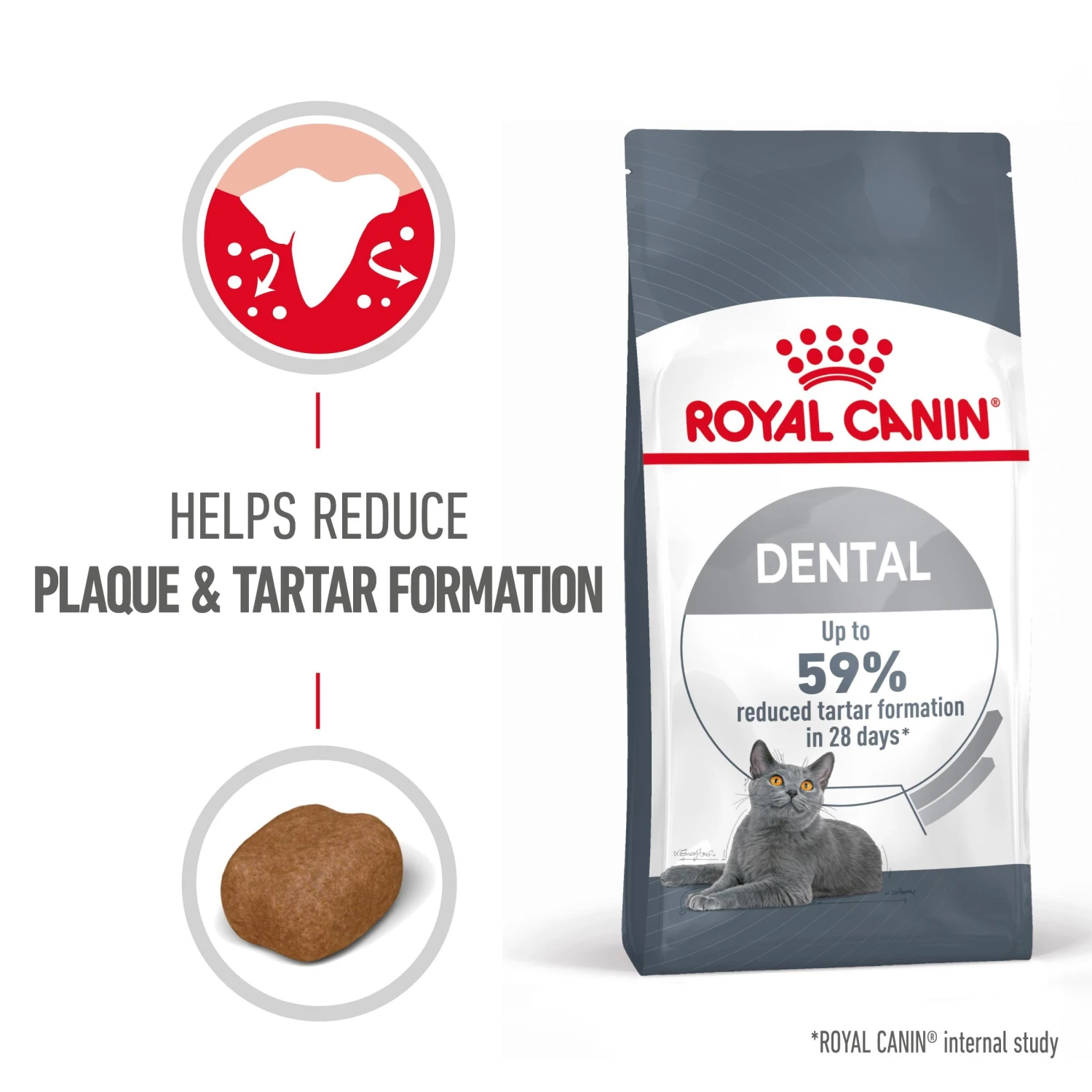 Royal Canin Dental Care Adult Dry Cat Food For Cats- Various Sizes 6 Royal Canin Dental Care Adult Dry Cat Food For Cats- Various Sizes - Image 6