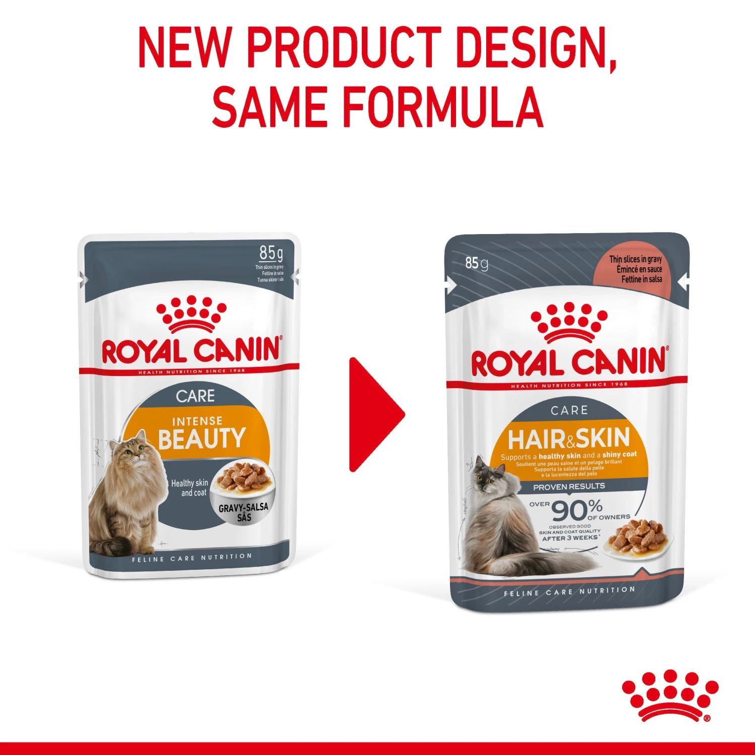 Royal Canin Wet Cat Food Hair & Skin Care In Gravy Pack Of 12 X 85g 4 Royal Canin Wet Cat Food Hair & Skin Care In Gravy Pack Of 12 X 85g - Image 4
