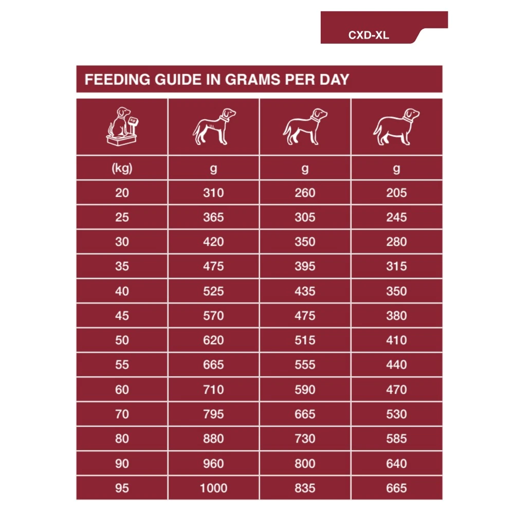 Dechra SPECIFIC™ CXD-XL Adult Large Breed Dry Dog Food 4 Dechra SPECIFIC™ CXD-XL Adult Large Breed Dry Dog Food - Image 4