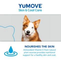 YuMOVE Skin & Coat Care Moulting For Adult Dogs | 500ml 17 YuMOVE Skin & Coat Care Moulting For Adult Dogs | 500ml -Pet Supply Store vqvqybzyz52